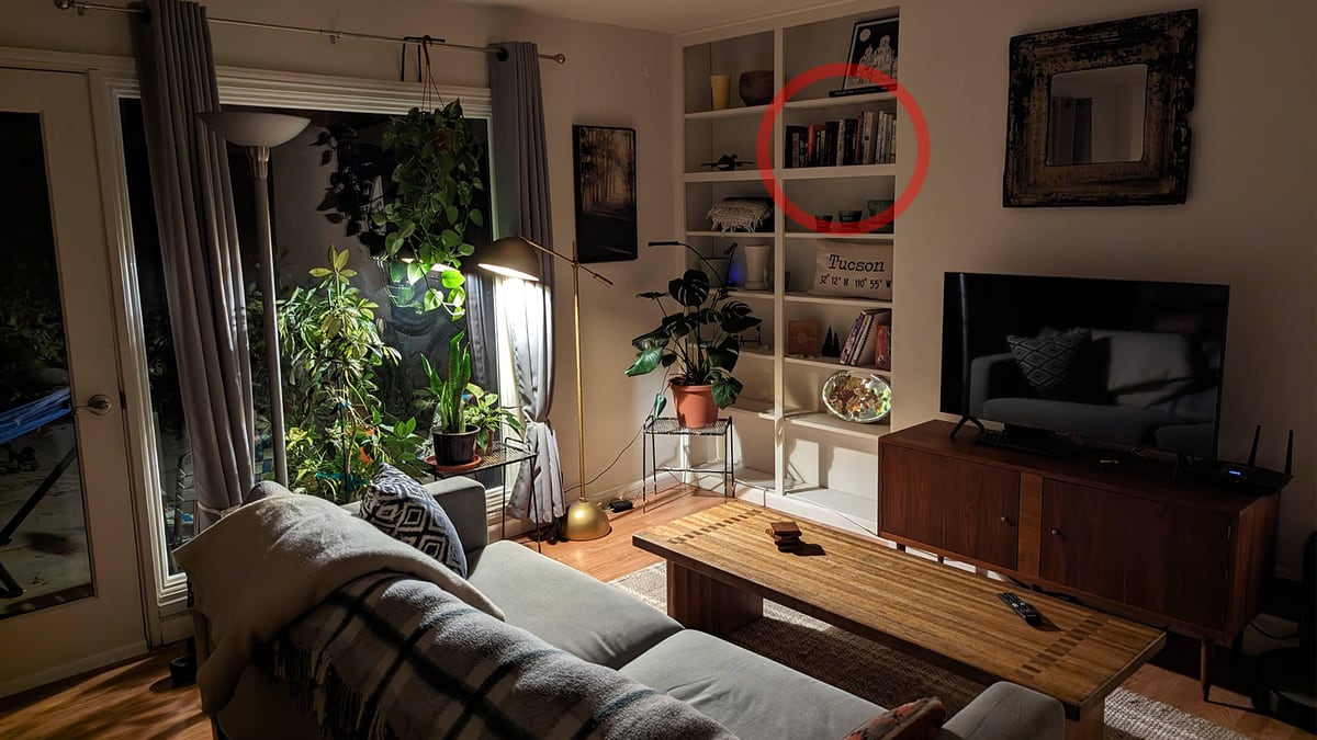 Warm-lit living room with plants, sofa, TV and a built-in bookshelf circled in red